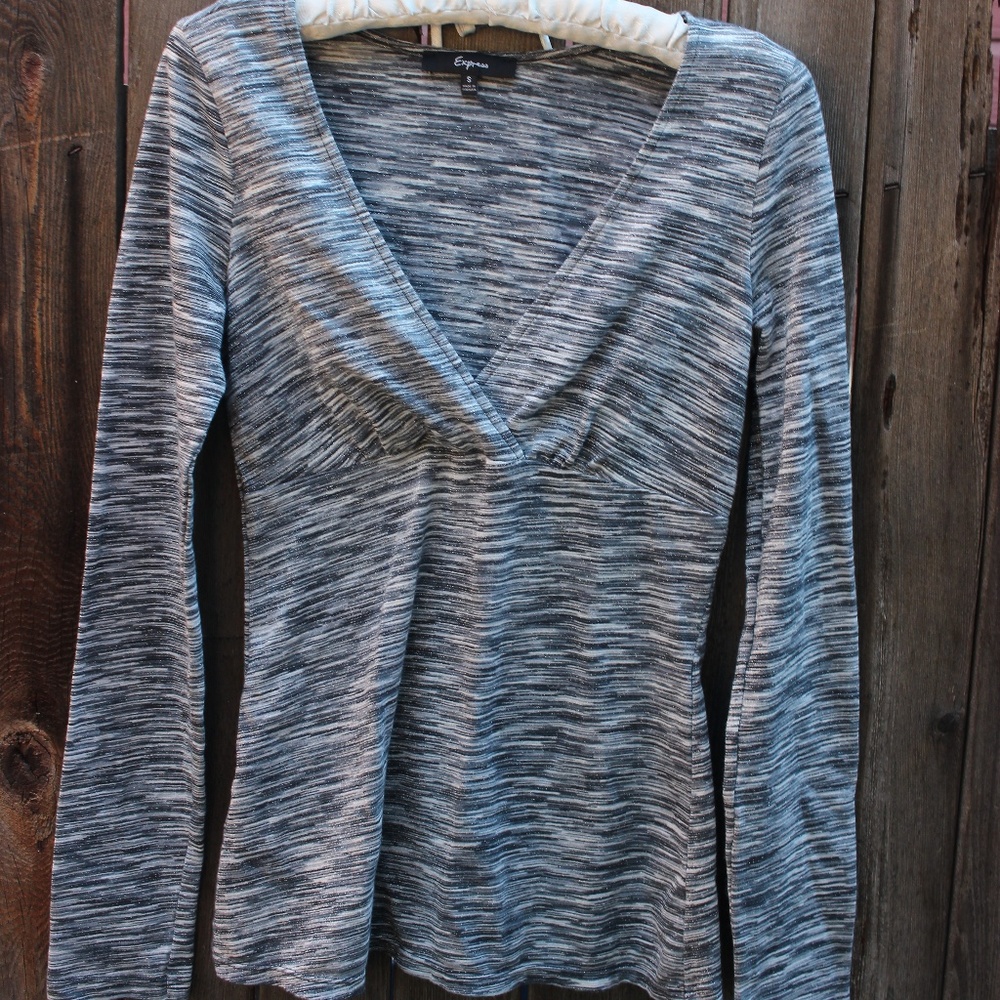 Express long sleeve silver blouse